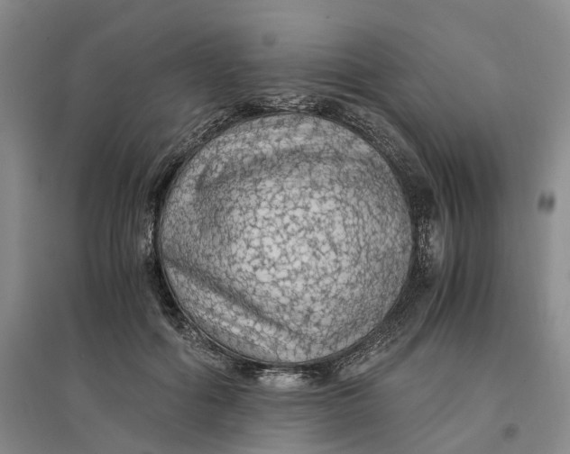 X0000096700602200802261607