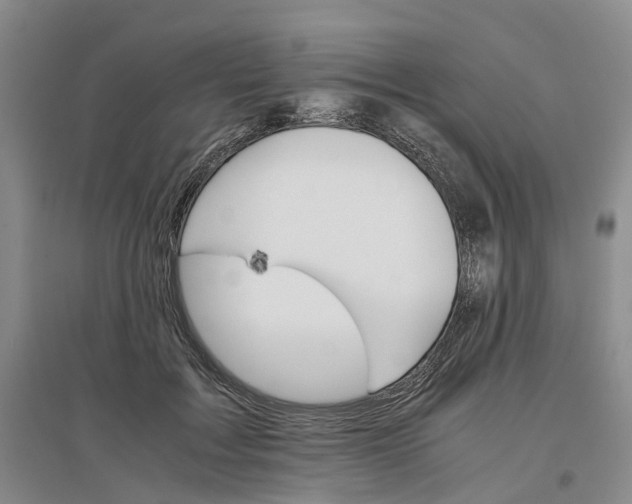 X0000096700603200802261607