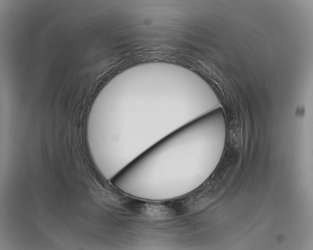 X0000096700605200802261607