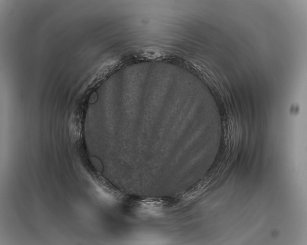 X0000096700606200802261607