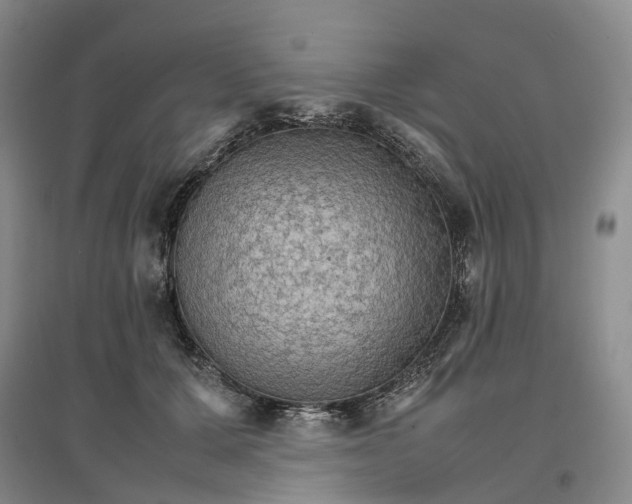 X0000096700607200802261607
