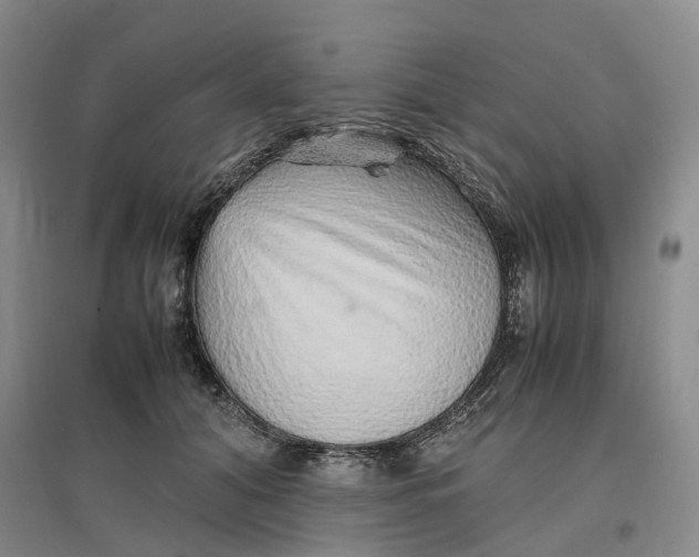 X0000096700608200802261607