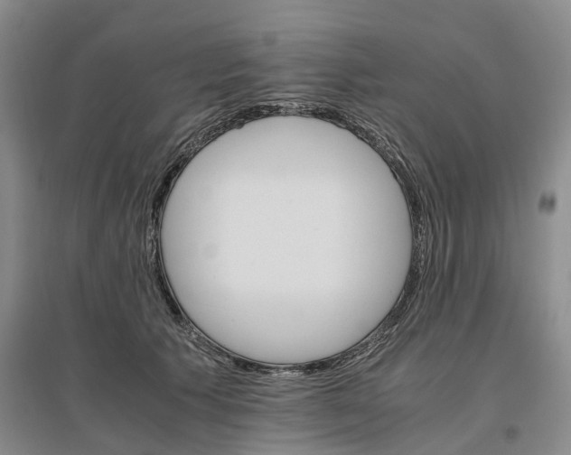 X0000096700609200802261607