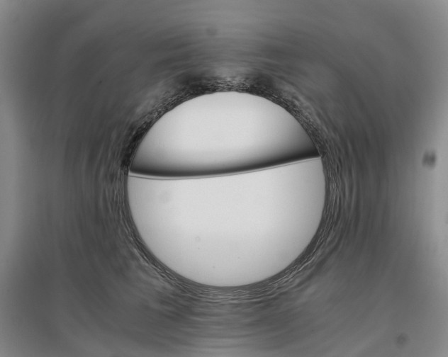 X0000096700613200802261606