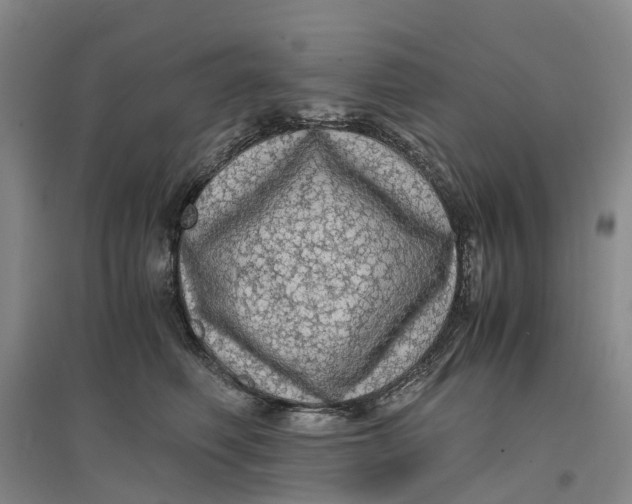 X0000096700614200802261606