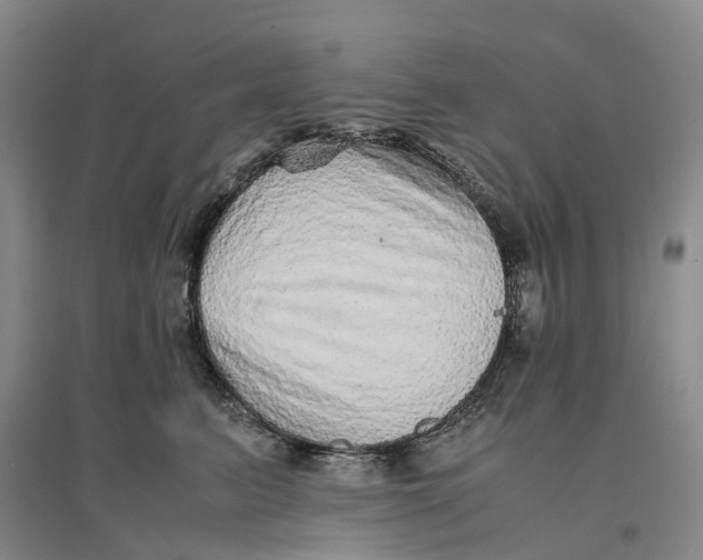 X0000096700615200802261606