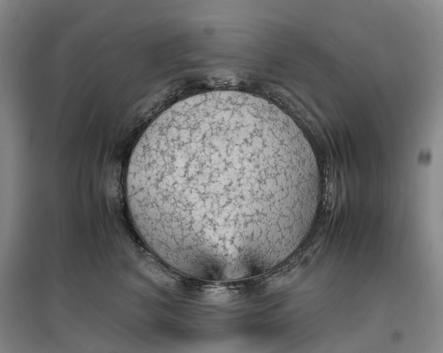 X0000096700616200802261606