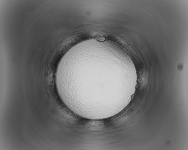 X0000096700619200802261606