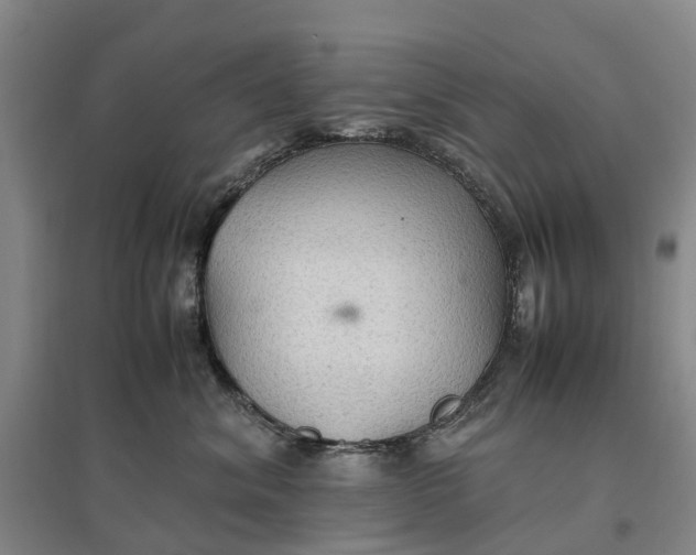 X0000096700620200802261606