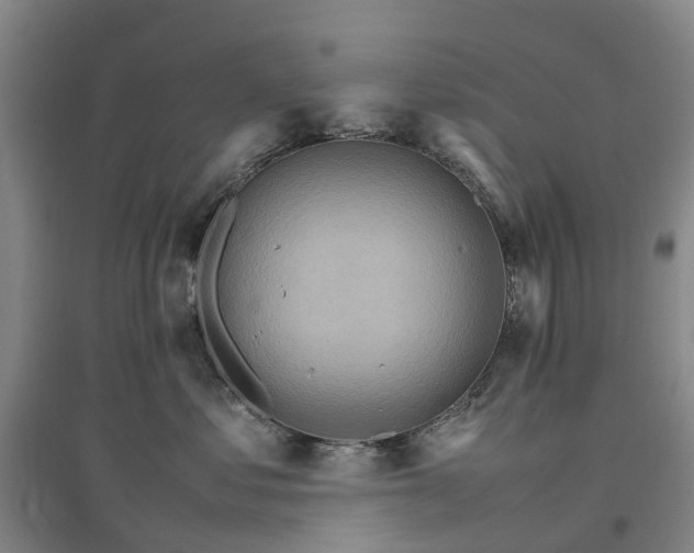 X0000096700621200802261606
