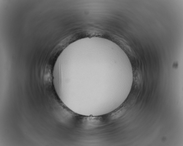 X0000096700622200802261606