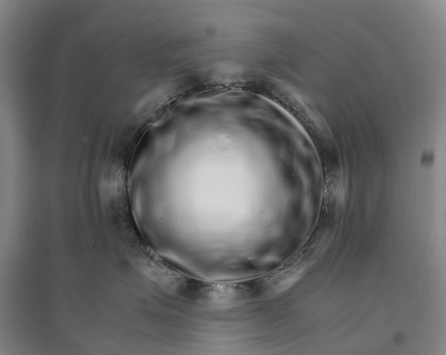 X0000096700623200802261606