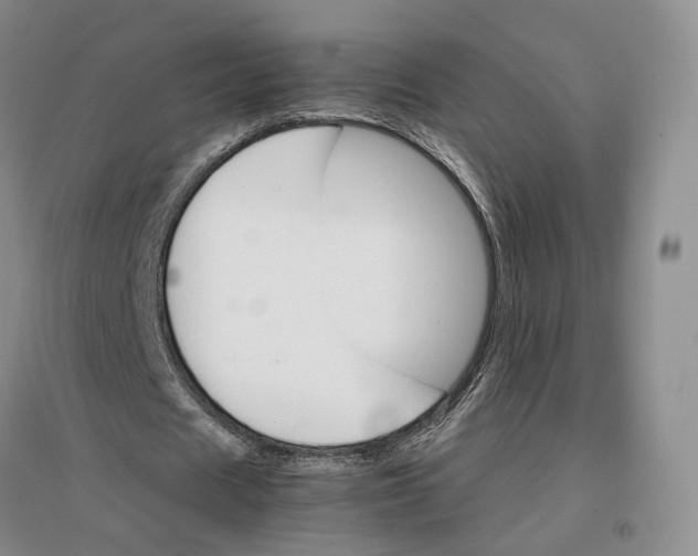 X0000096700625200802261606