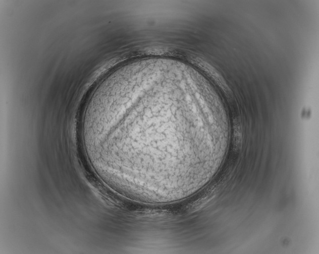 X0000096700626200802261606