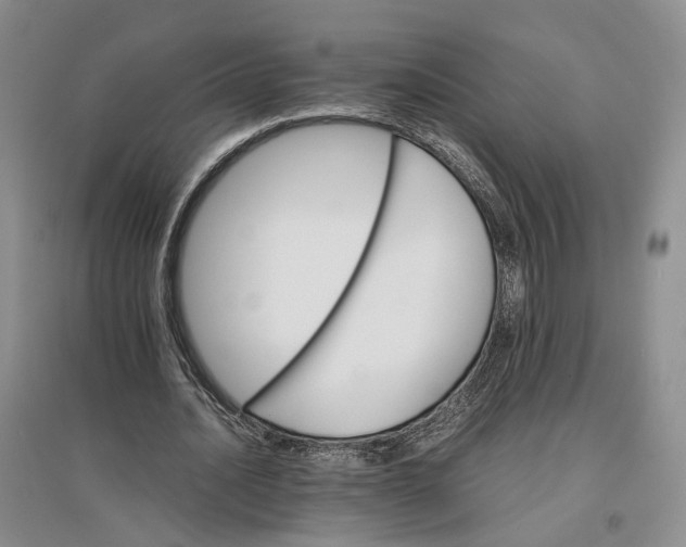 X0000096700628200802261606