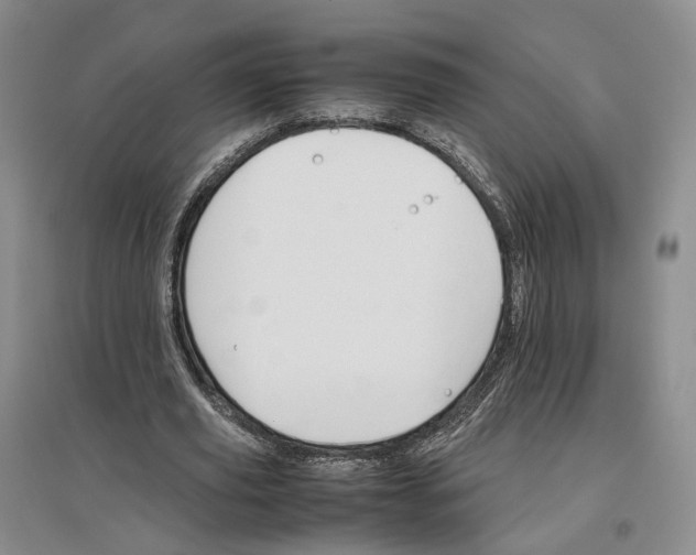 X0000096700629200802261606