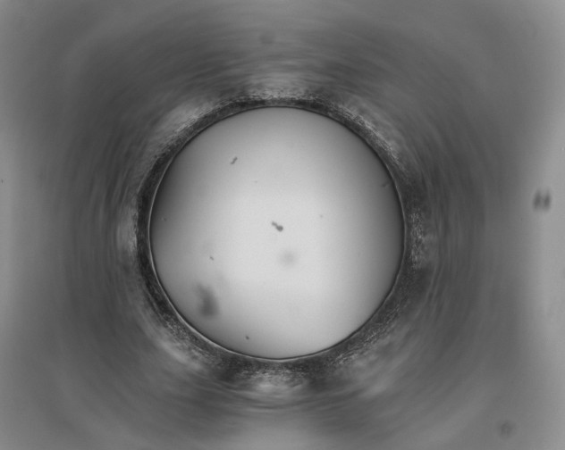 X0000096700631200802261606