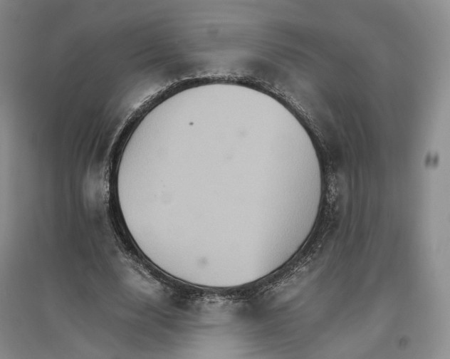 X0000096700632200802261606