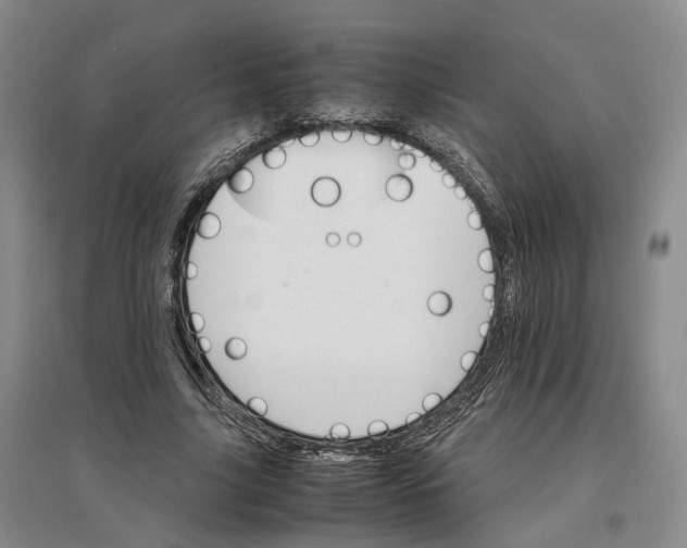 X0000096700635200802261606
