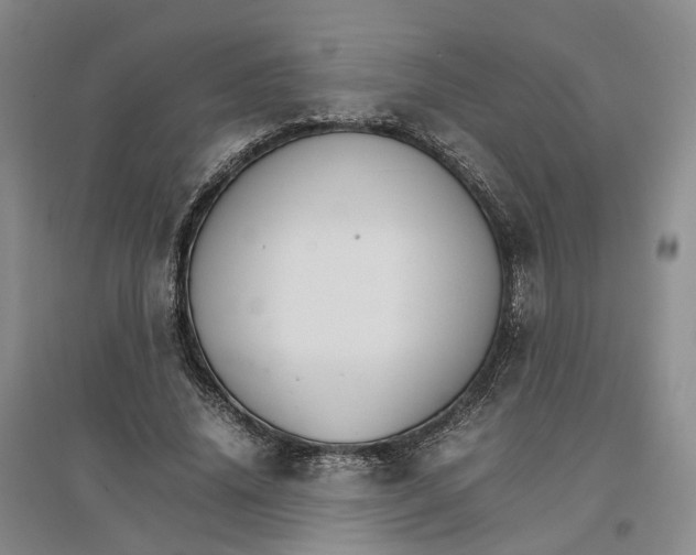 X0000096700636200802261606
