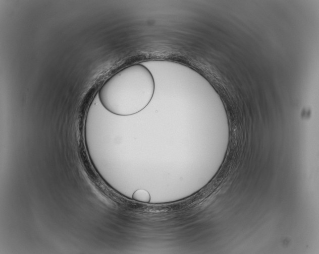 X0000096700638200802261606
