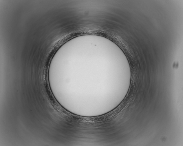 X0000096700640200802261606