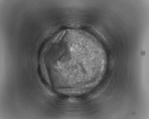 X0000096700641200802261606