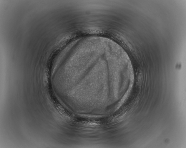 X0000096700643200802261606