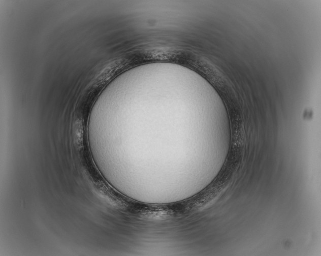 X0000096700646200802261606