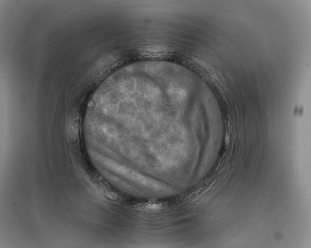 X0000096700647200802261606