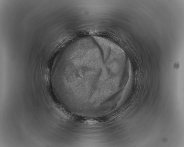 X0000096700650200802261606