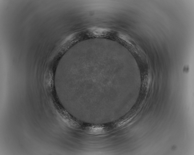 X0000096700651200802261606