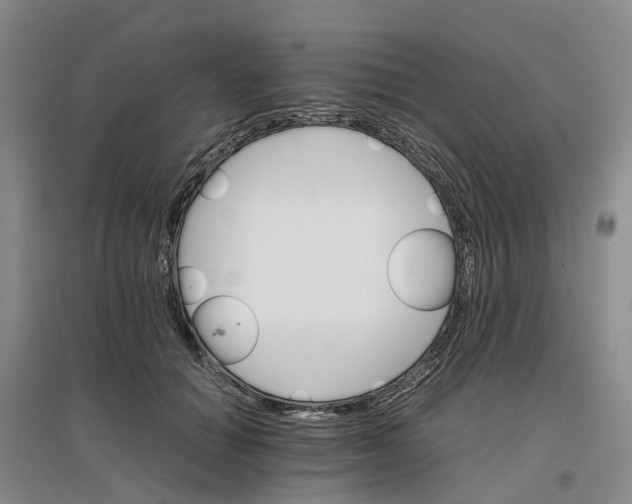 X0000096700654200802261606