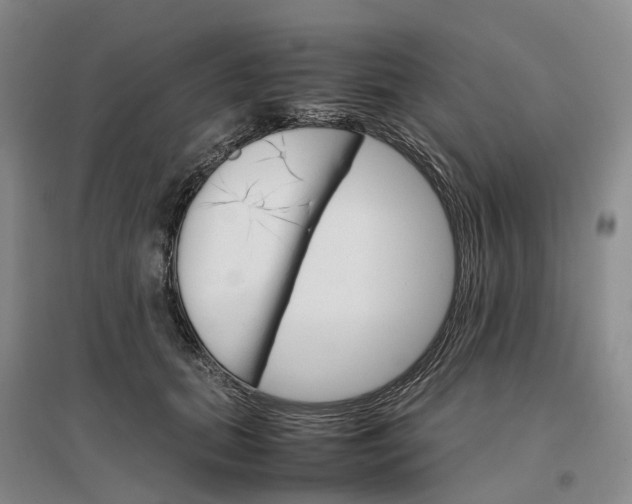 X0000096700655200802261606