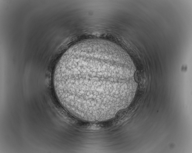 X0000096700656200802261606