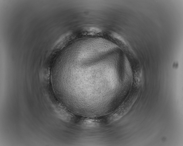 X0000096700657200802261606