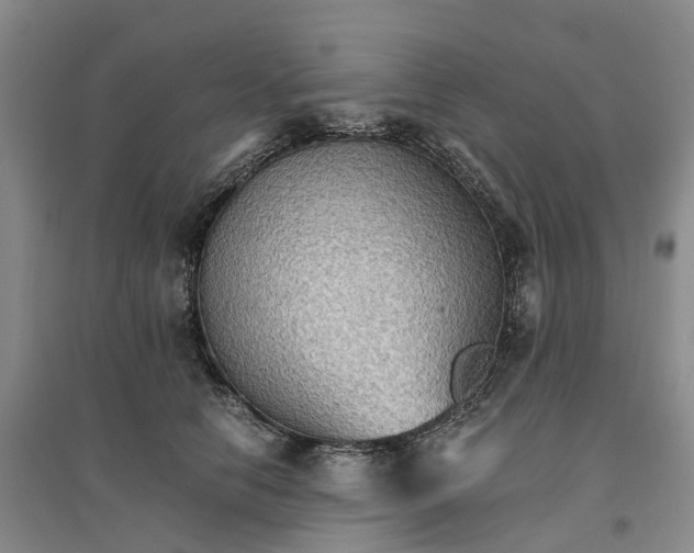 X0000096700658200802261606