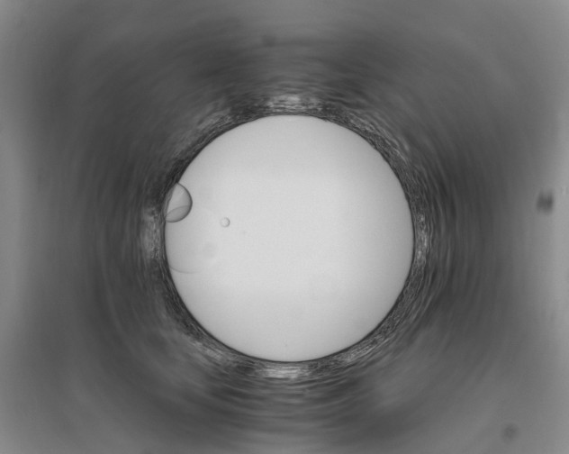 X0000096700659200802261606