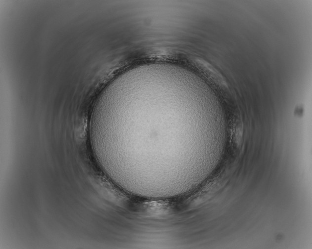 X0000096700660200802261606