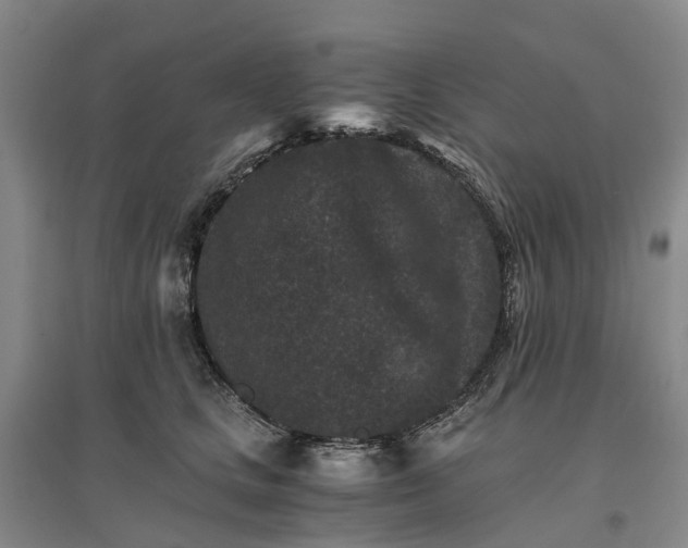 X0000096700661200802261606