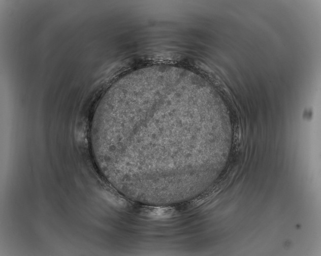 X0000096700663200802261606