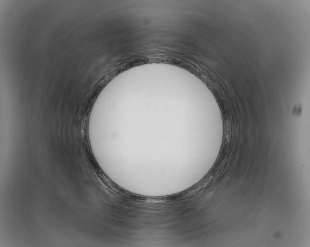 X0000096700664200802261606