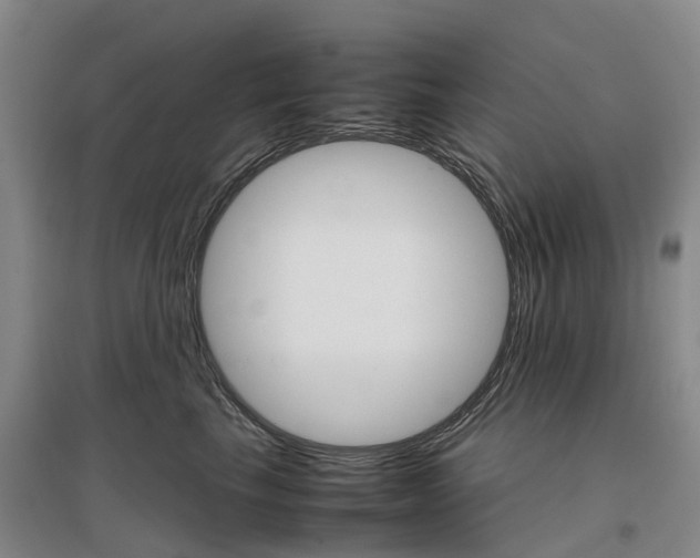 X0000096700665200802261606