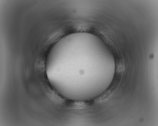 X0000096700666200802261606