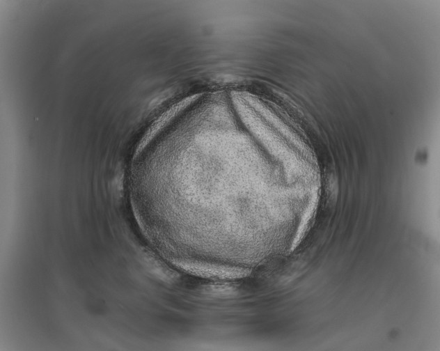 X0000096700668200802261606