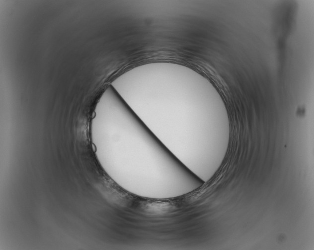 X0000096700669200802261606