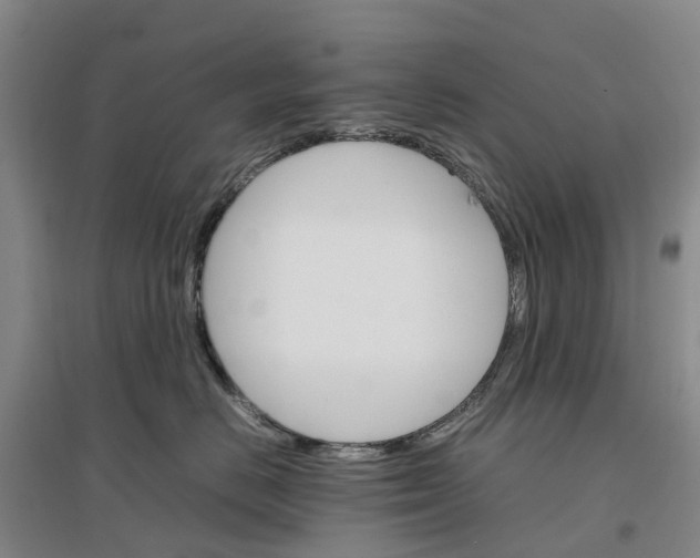 X0000096700670200802261606