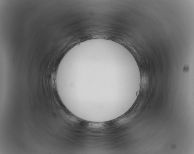 X0000096700671200802261606