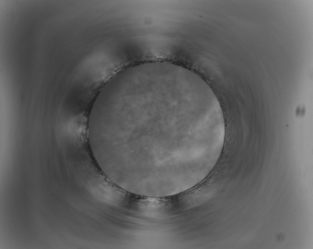 X0000096700672200802261606