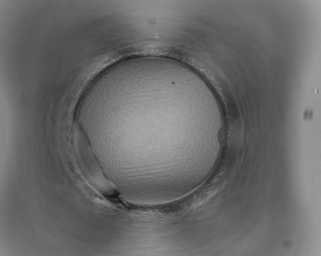 X0000096700673200802261606